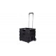 CARRO PLEGABLE 38 x 33 x 36CM MAX. 25KG 
